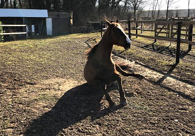 2019 02 27 VEGAS Ankunf IMG 2480