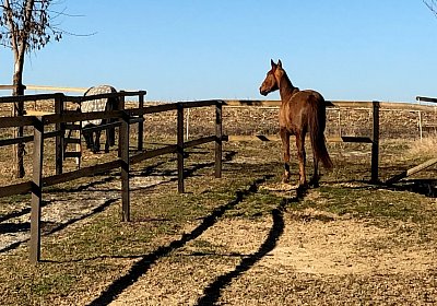 2019 02 27 VEGAS Ankunf IMG 2481