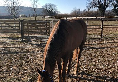 2019 02 27 VEGAS Ankunf MGIM5739