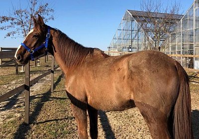 2019 02 27 VEGAS Ankunf MKJG0579