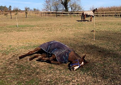 2019 02 27 VEGAS Ankunf Y BMQI4834