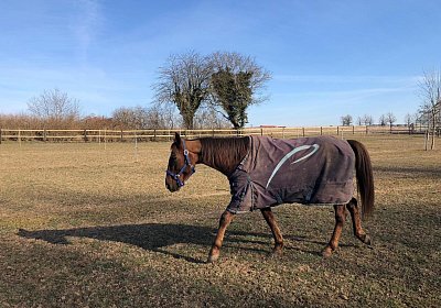 2019 02 27 VEGAS Ankunf Y CLAI0056