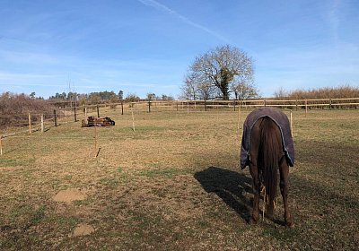 2019 02 27 VEGAS Ankunf Y DNTS7515