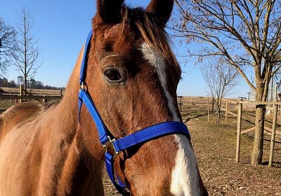 2019 02 27 VEGAS Ankunf Y DPUQ3926