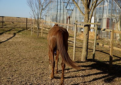 2019 02 27 VEGAS Ankunf Y DSC09205