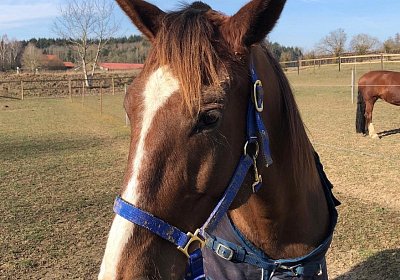 2019 02 27 VEGAS Ankunf Y NHMV2744