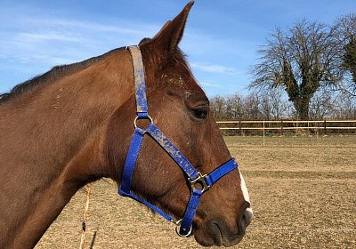 2019 02 27 VEGAS Ankunf Y NOVB4881