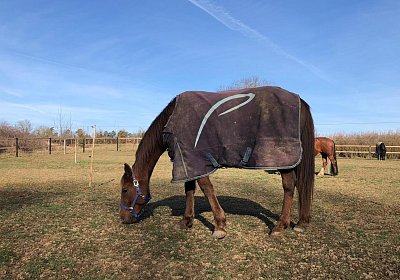 2019 02 27 VEGAS Ankunf Y OOXY8256