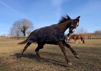 2019 02 27 VEGAS Ankunf Y RKKU9375