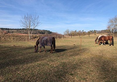 2019 02 27 VEGAS Ankunf Y SCML1854