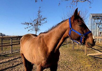 2019 02 27 VEGAS Ankunf Y USTB4022