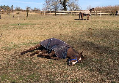 2019 02 27 VEGAS Ankunft Schlafen