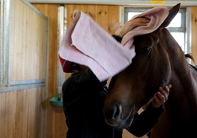 DSC09378 Soul Surfer Bobby