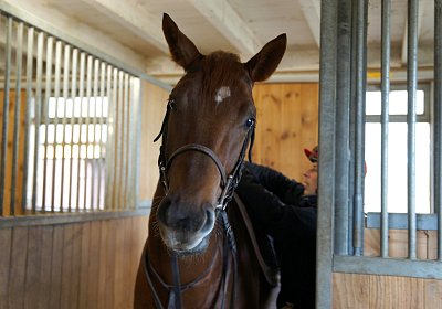 DSC09403 Soul Surfer Bobby