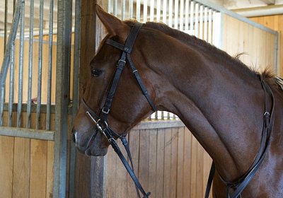 DSC09406 Soul Surfer Bobby