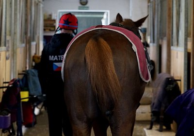 DSC09419 Soul Surfer Bobby