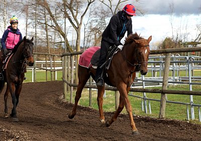 DSC09440 Soul Surfer Bobby
