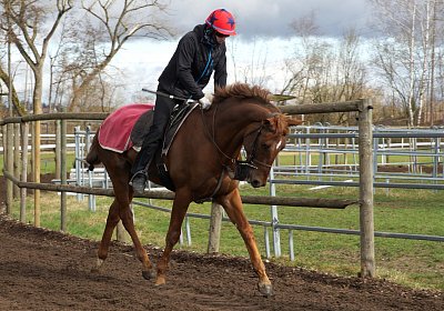 DSC09442 Soul Surfer Bobby
