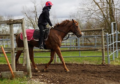 DSC09466 Soul Surfer Bobby