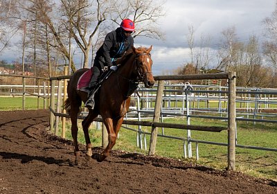DSC09517 Soul Surfer Bobby