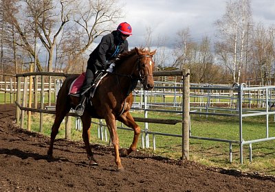 DSC09518 Soul Surfer Bobby