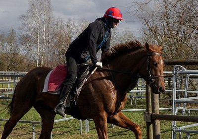 DSC09521 Soul Surfer Bobby