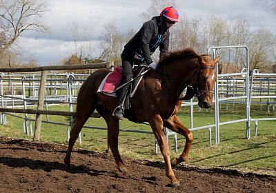DSC09538 Soul Surfer Bobby