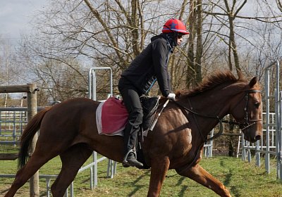 DSC09545 Soul Surfer Bobby