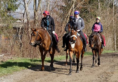 DSC09563 Soul Surfer Bobby