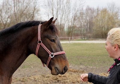 2019 03 25Aschheim Black Jack DSC09804