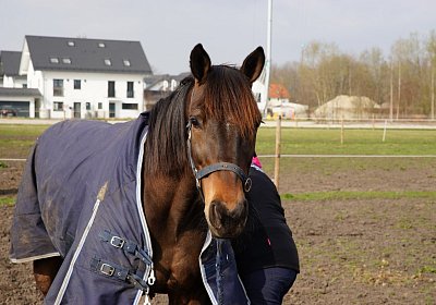 2019 03 25Aschheim Globi DSC09736