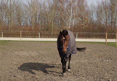 2019 03 25Aschheim Top DSC09633