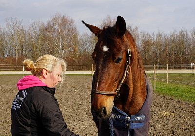 2019 03 25Aschheim Top DSC09643