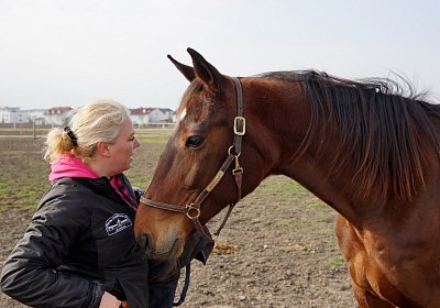 2019 03 25Aschheim Top DSC09659