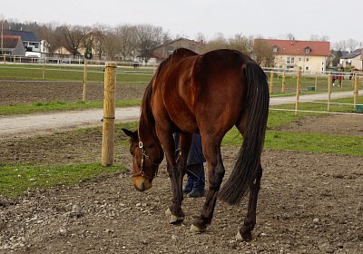 2019 03 25Aschheim Top DSC09665