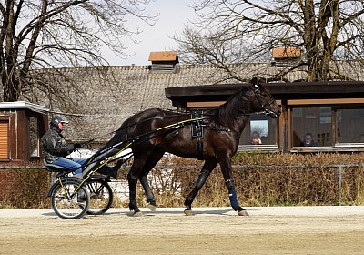 2019 03 25Daglfing a DSC09921 Jack Scott