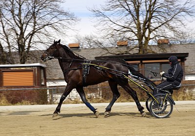 2019 03 25Daglfing a DSC09953 Jack Scott