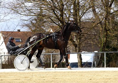 2019 03 25Daglfing b DSC00109 Jack Scott