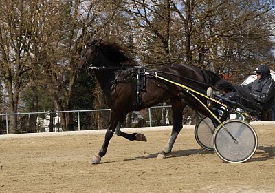 2019 03 25Daglfing b DSC00150 Jack Scott