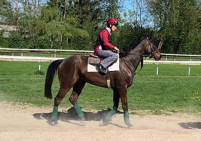 2019 04 25 Dasty IMG 4794