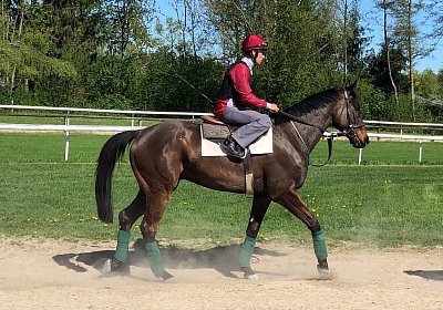 2019 04 25 Dasty IMG 4795