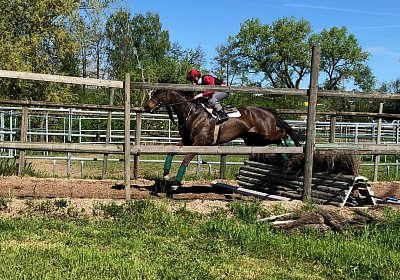 2019 04 25 Dasty IMG 4807