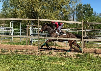 2019 04 25 Dasty IMG 4808