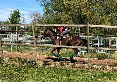 2019 04 25 Dasty IMG 4810