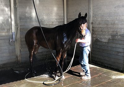 2019 04 25 Dasty IMG 4817