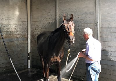 2019 04 25 Dasty IMG 4821