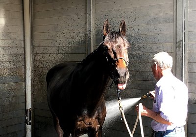 2019 04 25 Dasty IMG 4823