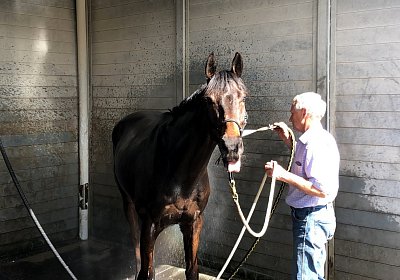 2019 04 25 Dasty IMG 4826