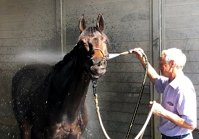 2019 04 25 Dasty IMG 4830