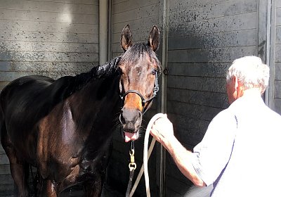 2019 04 25 Dasty IMG 4832